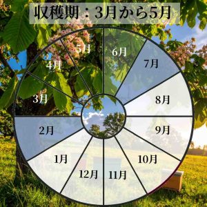 March to May Calendar Japanese